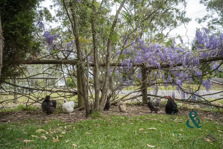 Fourth view of Homely house listing, 20 Wilga Road, Medowie NSW 2318