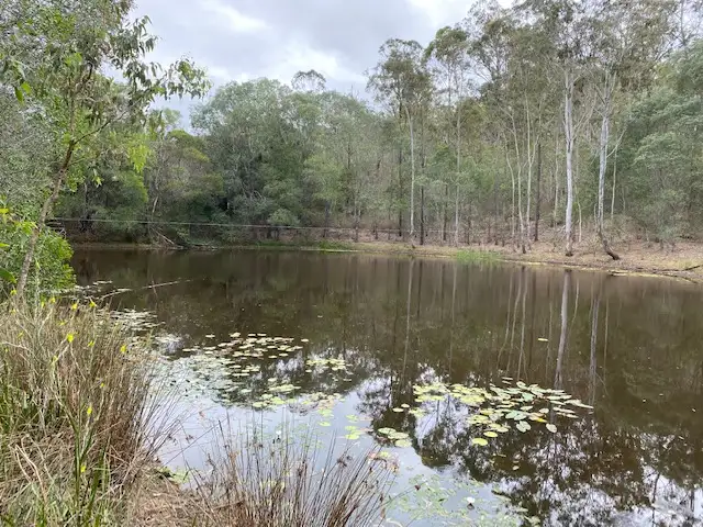 Main view of Homely rural property listing, 52 Tram Road, Gundiah QLD 4650
