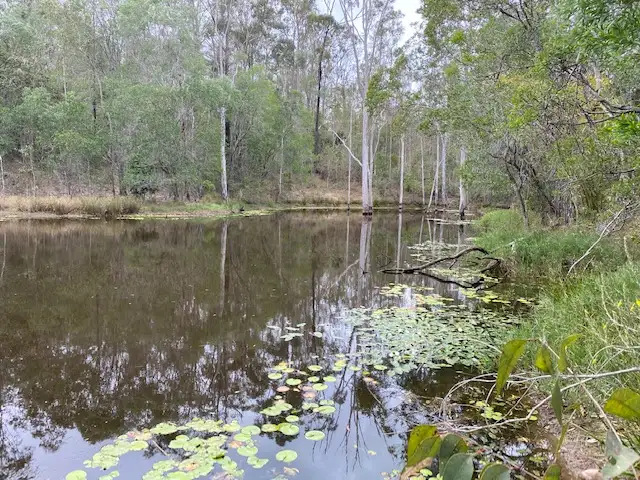 Sixth view of Homely rural property listing, 52 Tram Road, Gundiah QLD 4650