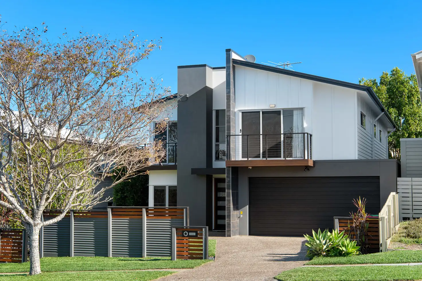 Main view of Homely house listing, 135 Dahlia Street, Cannon Hill QLD 4170