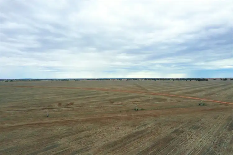Fourth view of Homely rural property listing, 376 McRaes Lane, Goolgowi NSW 2652