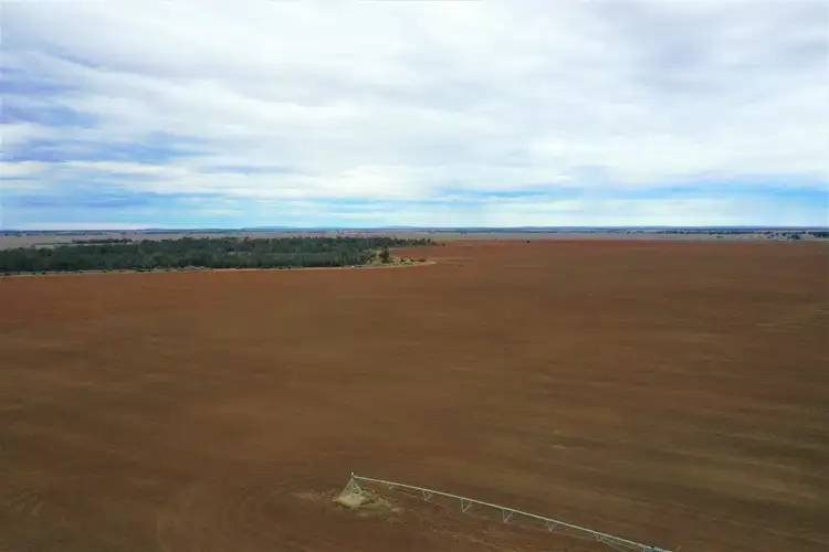 Fifth view of Homely rural property listing, 376 McRaes Lane, Goolgowi NSW 2652