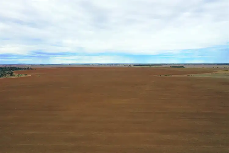 Sixth view of Homely rural property listing, 376 McRaes Lane, Goolgowi NSW 2652