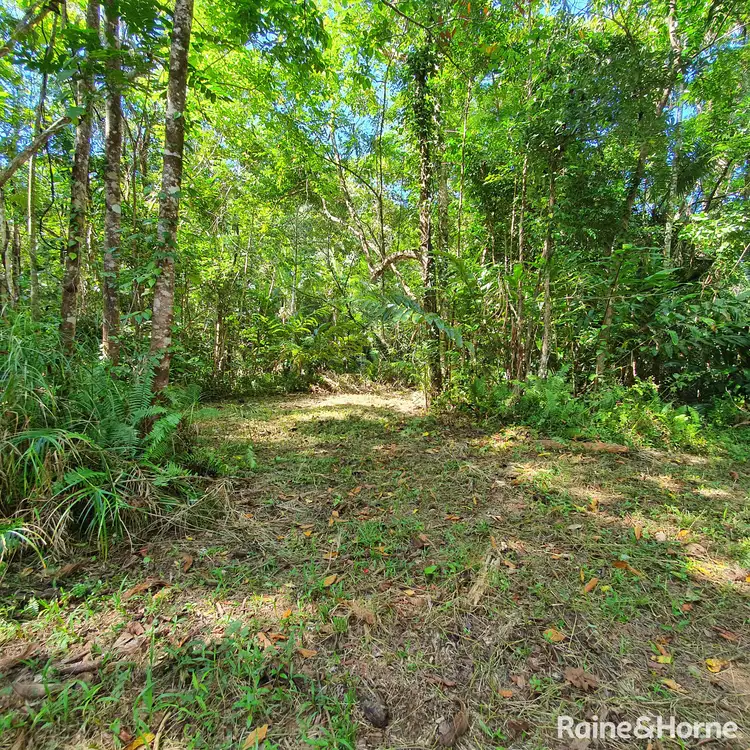 Third view of Homely land listing, 37 Nicole Drive Cape Tribulation, Daintree QLD 4873