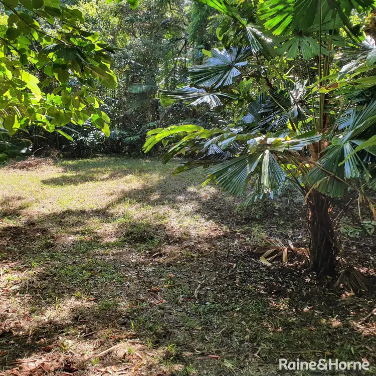 Fifth view of Homely land listing, 37 Nicole Drive Cape Tribulation, Daintree QLD 4873