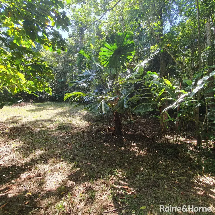 Sixth view of Homely land listing, 37 Nicole Drive Cape Tribulation, Daintree QLD 4873
