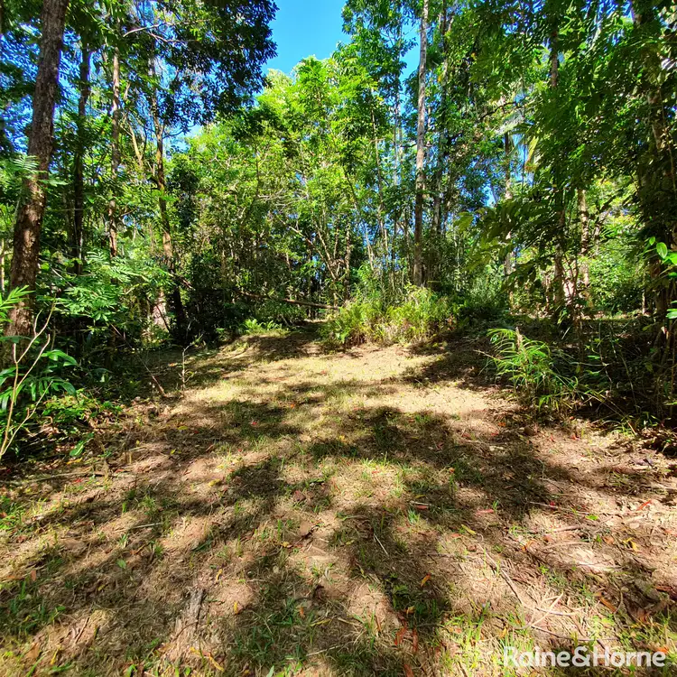 Seventh view of Homely land listing, 37 Nicole Drive Cape Tribulation, Daintree QLD 4873