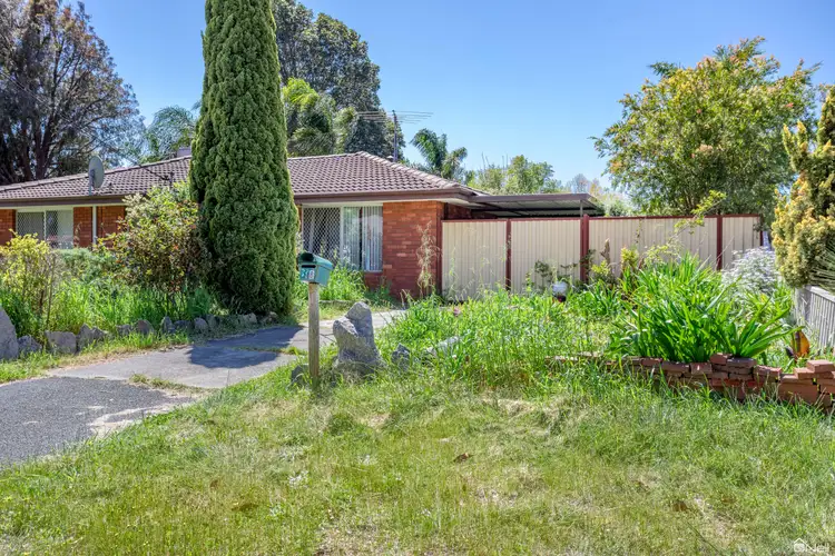 Main view of Homely house listing, 33B Tambulam Way, Armadale WA 6112