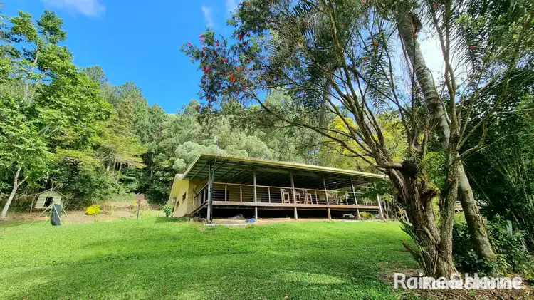 Second view of Homely house listing, 1649 Mossman - Mount Molloy Road, Julatten QLD 4871