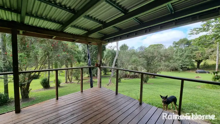 Third view of Homely house listing, 1649 Mossman - Mount Molloy Road, Julatten QLD 4871