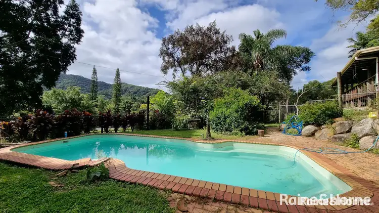 Fourth view of Homely house listing, 1649 Mossman - Mount Molloy Road, Julatten QLD 4871