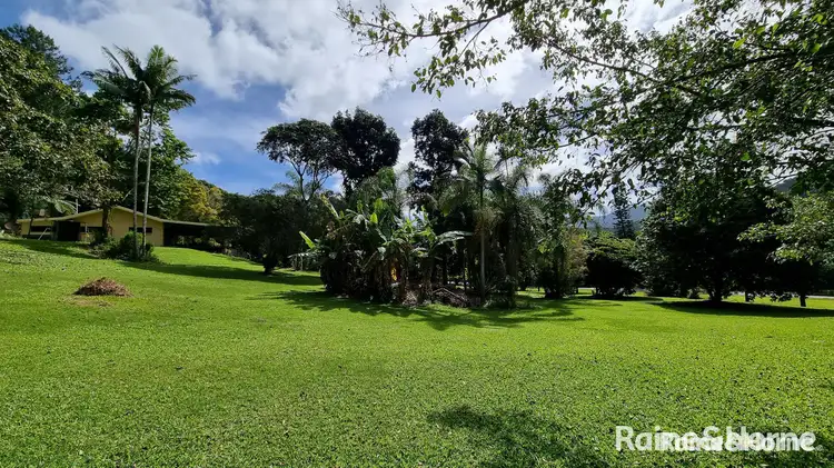 Fifth view of Homely house listing, 1649 Mossman - Mount Molloy Road, Julatten QLD 4871