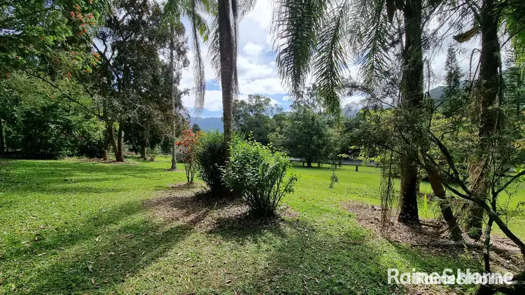 Sixth view of Homely house listing, 1649 Mossman - Mount Molloy Road, Julatten QLD 4871