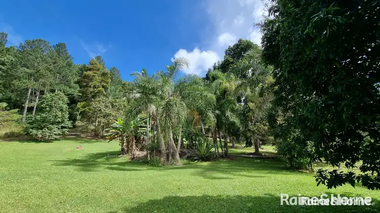 Seventh view of Homely house listing, 1649 Mossman - Mount Molloy Road, Julatten QLD 4871