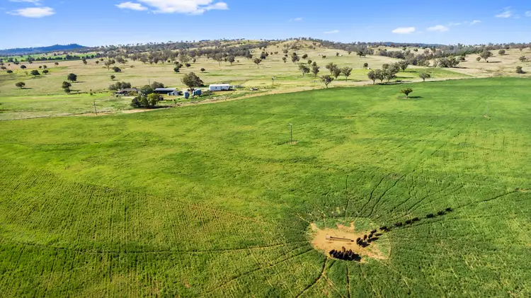 Second view of Homely rural property listing, "Valhalla" 1610 Lower Somerton Road, Somerton NSW 2340