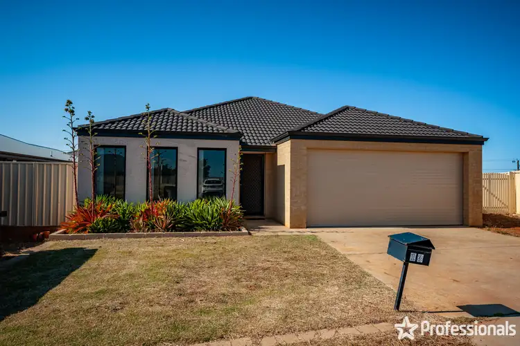 13 Globe Court, Waggrakine WA 6530