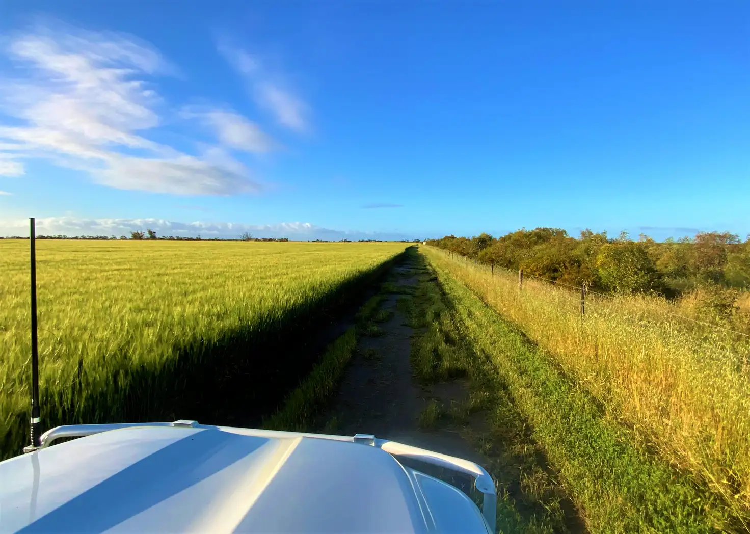 Main view of Homely rural property listing, 380 Buccleuch South Road, Sherlock SA 5301