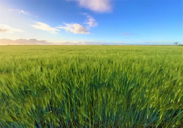 Third view of Homely rural property listing, 380 Buccleuch South Road, Sherlock SA 5301