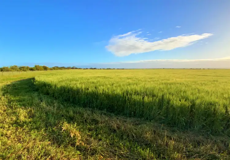 Sixth view of Homely rural property listing, 380 Buccleuch South Road, Sherlock SA 5301