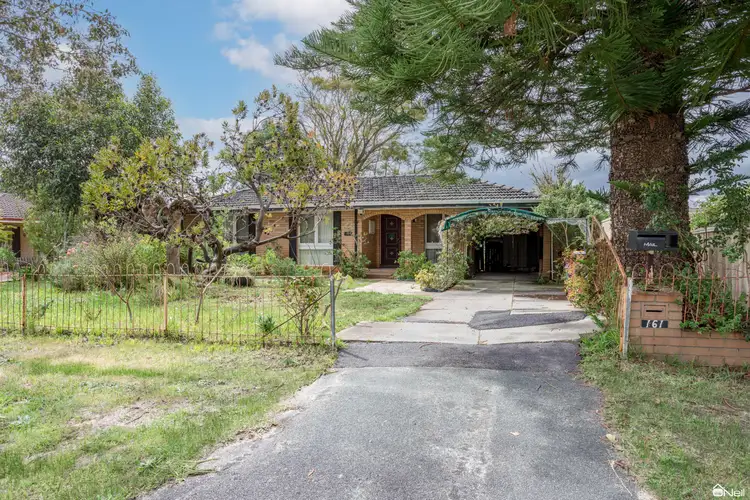 Main view of Homely house listing, 161 Third Avenue, Kelmscott WA 6111