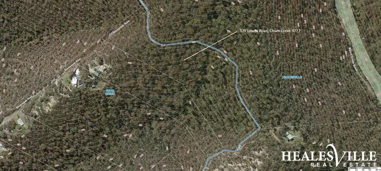 Third view of Homely land listing, 379 Lowes Road, Chum Creek VIC 3777