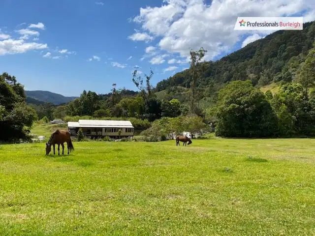 Fifth view of Homely house listing, 404 Petsch Creek Road, Tallebudgera Valley QLD 4228