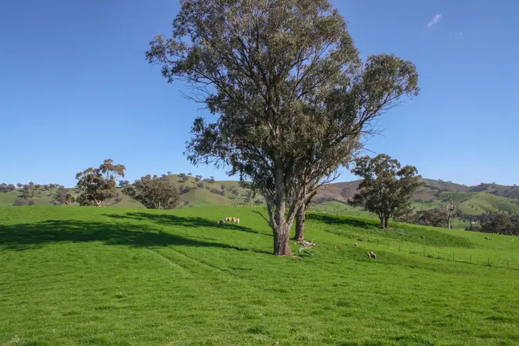 Sixth view of Homely land listing, LOT 25 Eagles Lane, Bonnie Doon VIC 3720