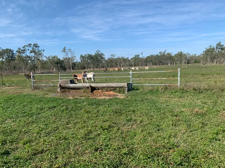 341/66 Old Coach Road, Majors Creek QLD 4816
