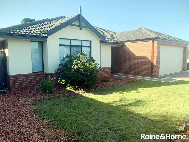 Main view of Homely house listing, 12 Echidna Court, Baldivis WA 6171