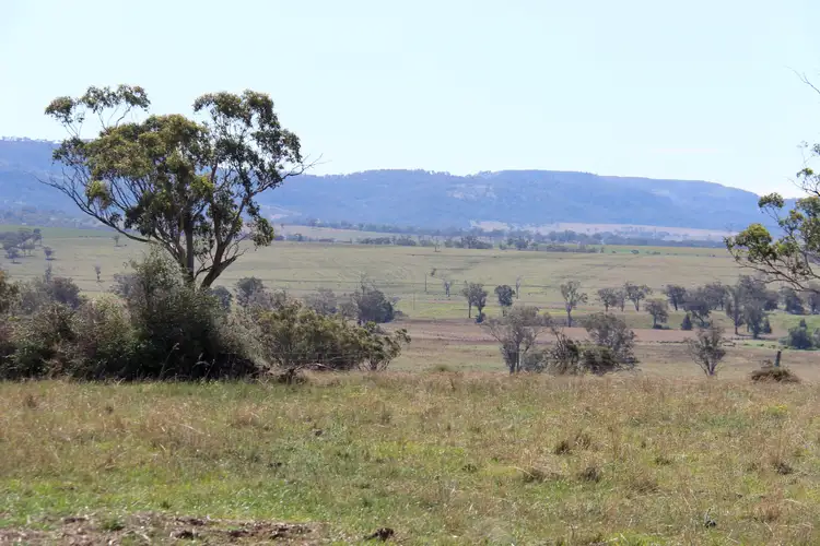 Main view of Homely rural property listing, L 183 & 184 Dartbrook Road, Aberdeen NSW 2336