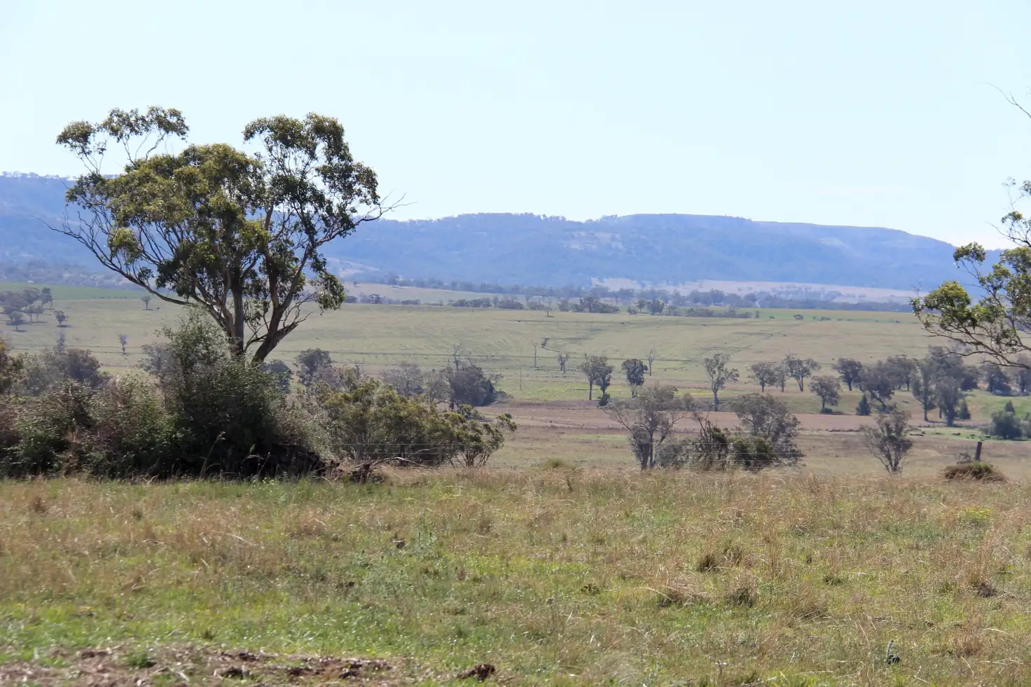 Main view of Homely rural property listing, L 183 & 184 Dartbrook Road, Aberdeen NSW 2336