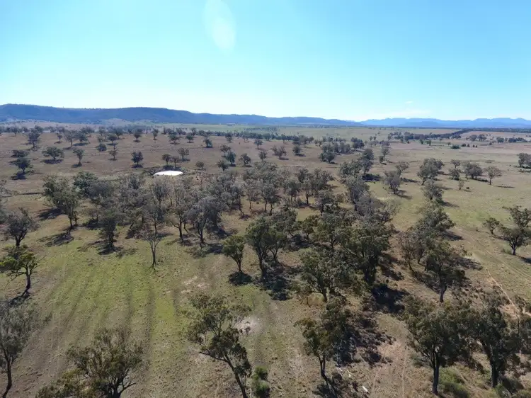 Fifth view of Homely rural property listing, L 183 & 184 Dartbrook Road, Aberdeen NSW 2336