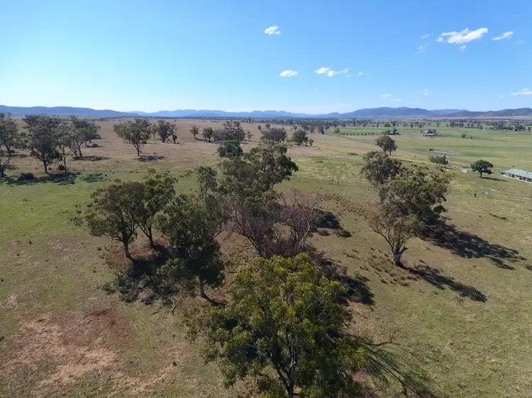 Seventh view of Homely rural property listing, L 183 & 184 Dartbrook Road, Aberdeen NSW 2336