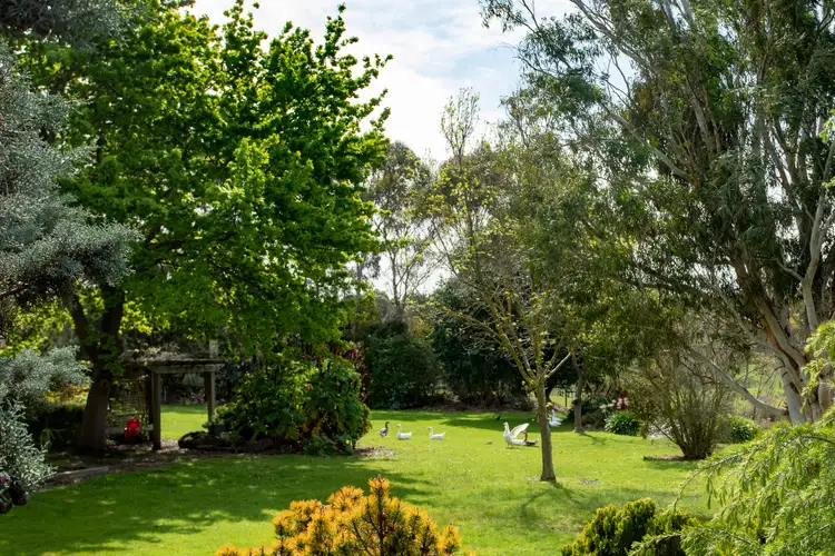 Sixth view of Homely rural property listing, 165 Coolart Road, Hastings VIC 3915