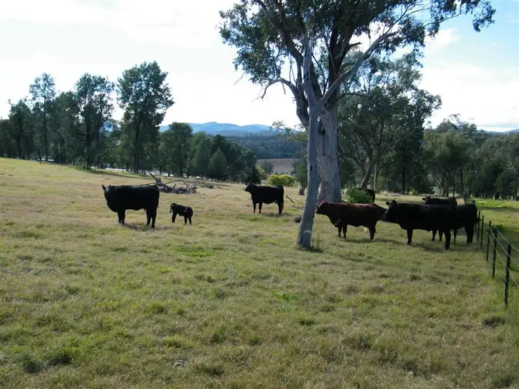 Second view of Homely rural property listing, "Balmere" 51 Bolah Valley Road, Quirindi NSW 2343