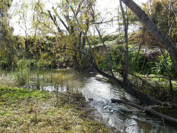 Third view of Homely rural property listing, "Balmere" 51 Bolah Valley Road, Quirindi NSW 2343