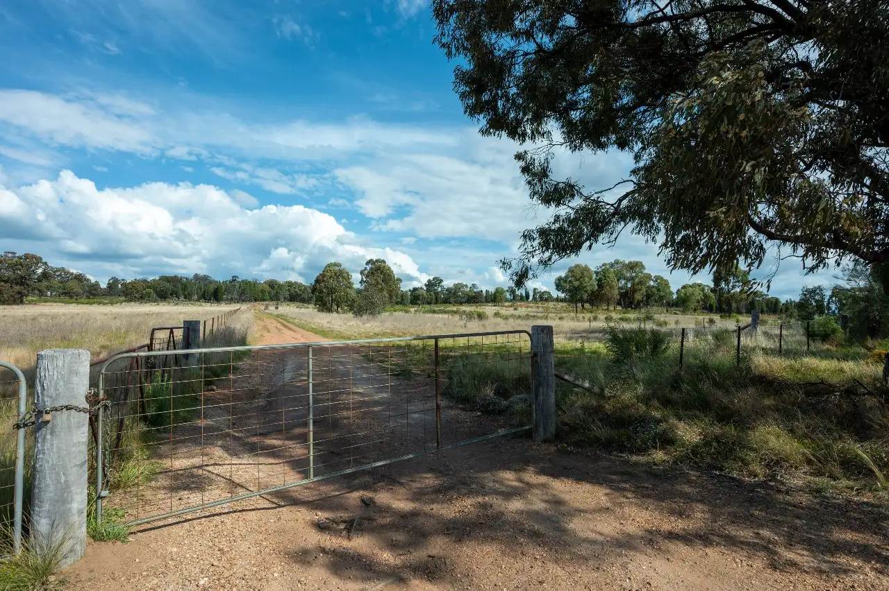 Main view of Homely land listing, 880 Digilah Road, Dunedoo NSW 2844