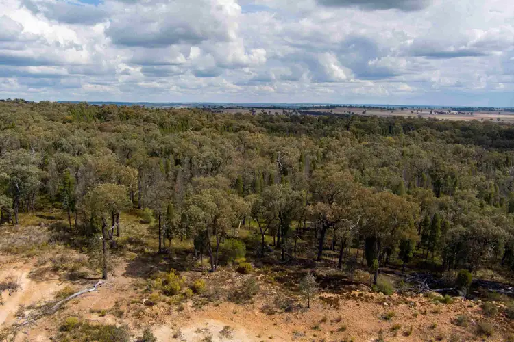 Third view of Homely land listing, 880 Digilah Road, Dunedoo NSW 2844