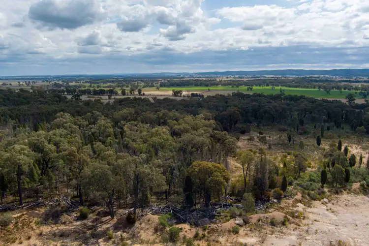 Fourth view of Homely land listing, 880 Digilah Road, Dunedoo NSW 2844
