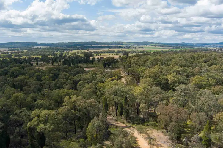 Sixth view of Homely land listing, 880 Digilah Road, Dunedoo NSW 2844