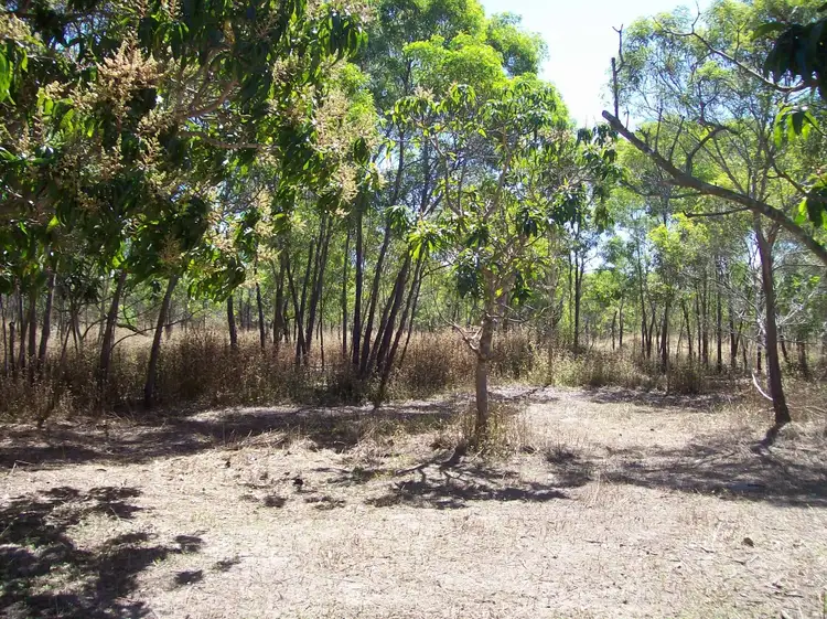 Third view of Homely land listing, 14653 Bruce Highway, Gregory River QLD 4800