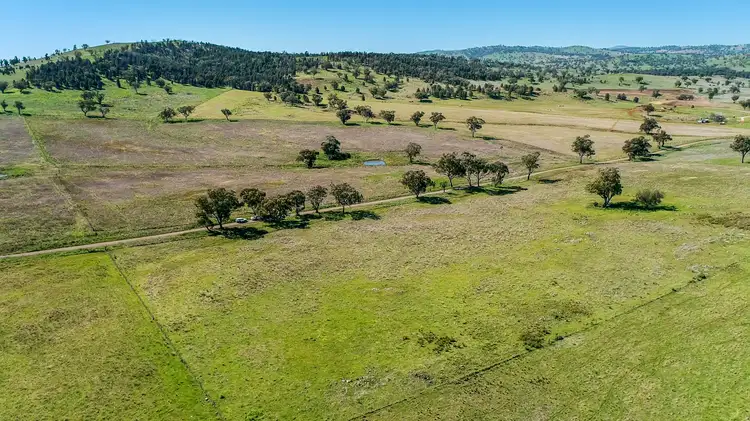 Main view of Homely rural property listing, 111 Lowrie Drive Apsley via, Wellington NSW 2820