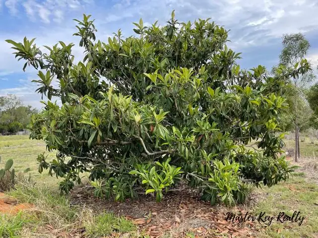 Fifth view of Homely rural property listing, 30 Butler Drive, Proston QLD 4613