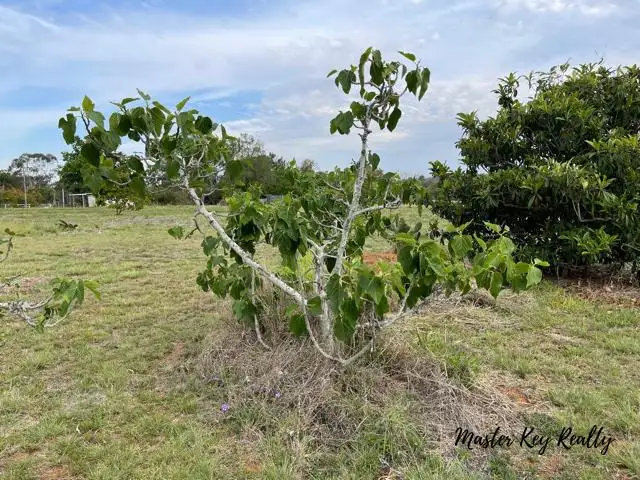 Sixth view of Homely rural property listing, 30 Butler Drive, Proston QLD 4613