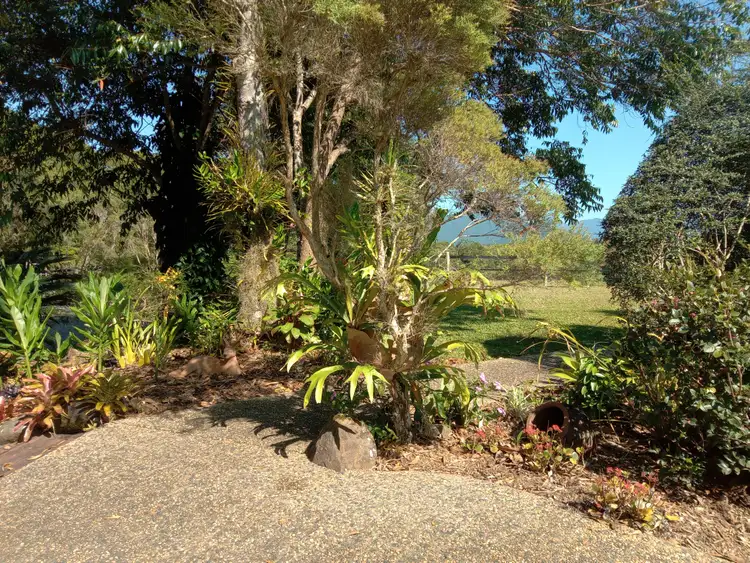 Sixth view of Homely house listing, 1069 Mossman-Mt Molloy Road, Julatten QLD 4871