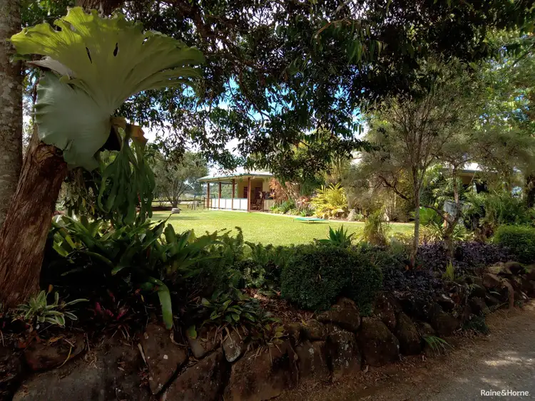 Seventh view of Homely house listing, 1069 Mossman-Mt Molloy Road, Julatten QLD 4871