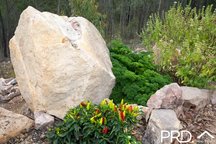 Seventh view of Homely land listing, 2 Hillview Court, Horse Camp QLD 4671