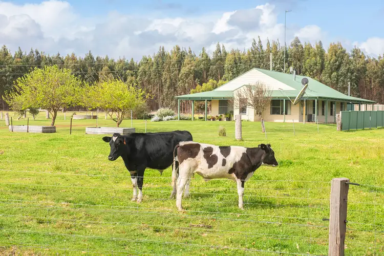 Main view of Homely rural property listing, 37 Beck Road, Courtenay WA 6288