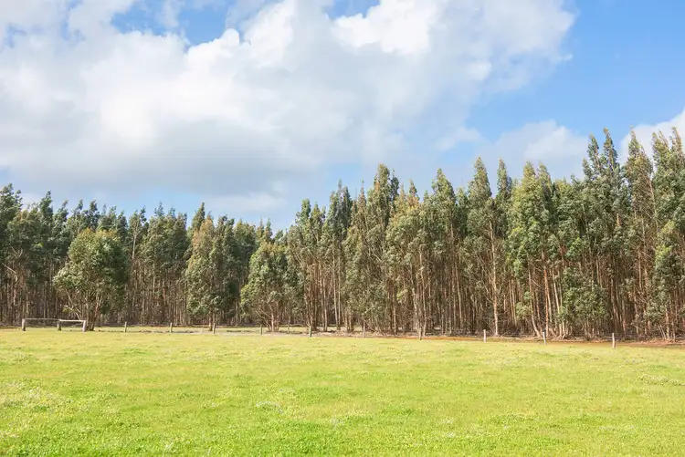 Fourth view of Homely rural property listing, 37 Beck Road, Courtenay WA 6288