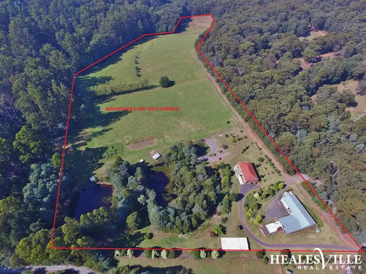 Main view of Homely house listing, 135 Beenak Road, Hoddles Creek VIC 3139